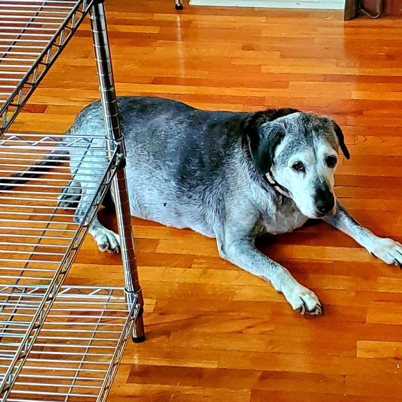 Meet your Posher Ambassador Lawana - Picture 11 of 15